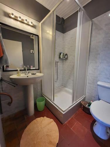 une salle de bain avec une douche, un lavabo et des toilettes dans l'établissement La ferme Des Cosses, à La Bussière