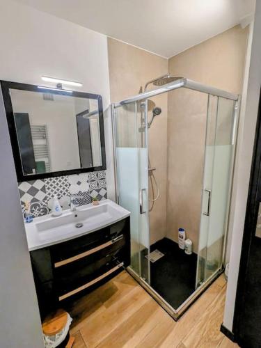une salle de bain avec un lavabo et une douche avec un miroir dans l'établissement Bel appartement Mauguio, à Mauguio