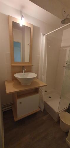 a bathroom with a sink and a shower at Idéal couple Appartement 1 chambre Cosy et calme pour visiter Nantes in Nantes