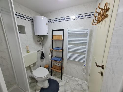 ポレッチにあるFerienhaus Villa Mareinのトイレと洗面台のある小さなバスルーム