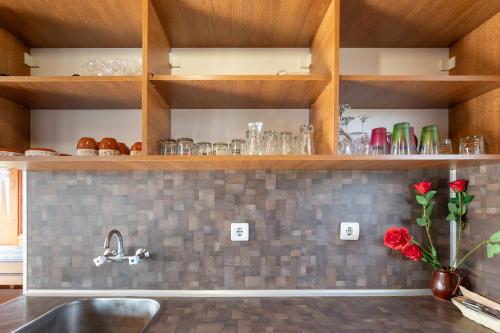 a kitchen with a sink and shelves with glasses at Елата in Zasele