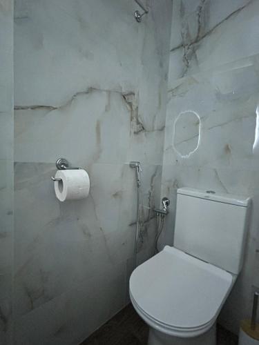 łazienka z toaletą i rolką papieru toaletowego w obiekcie George Apartment w mieście Lamia