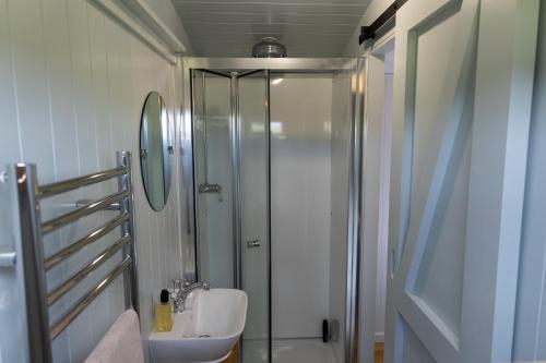 a bathroom with a shower and a sink at Deer Lodge Shepherds Hut in Rowlands Castle