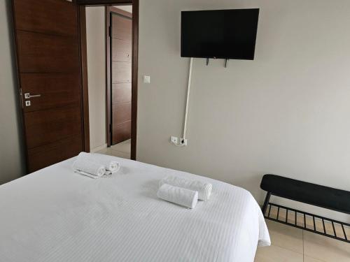Ioannina city center - Michelangelo Apartments - B2