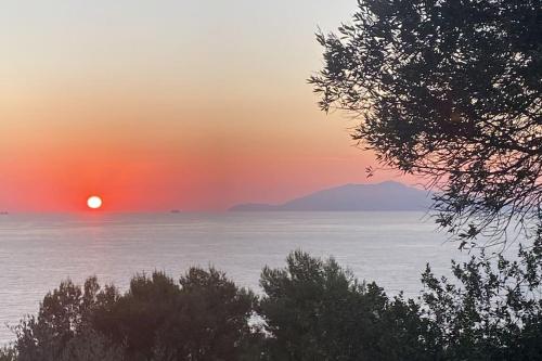 a sunset over a body of water with trees at La GEMMA di Orrico in Anacapri
