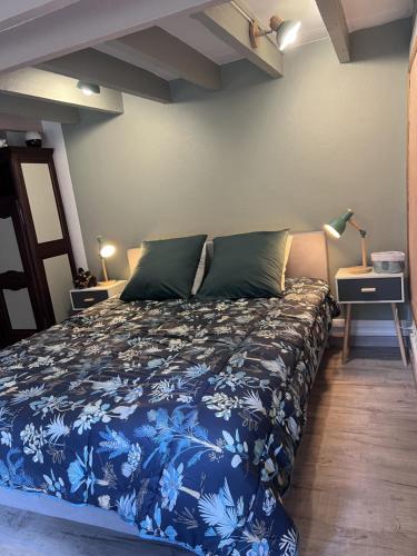1 dormitorio con 1 cama con colcha azul y blanca en Bienvenue Chez Vous en Émancé