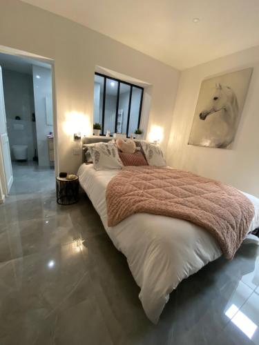 1 dormitorio con 1 cama grande y baño en Gite Provençal du Mas Arnaud en Arlés