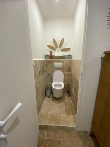 a bathroom with a toilet in a room at Gite Provençal du Mas Arnaud in Arles