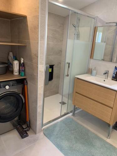 une salle de bain avec douche et lavabo dans l'établissement Maisonnette de Jardin, à Marseille