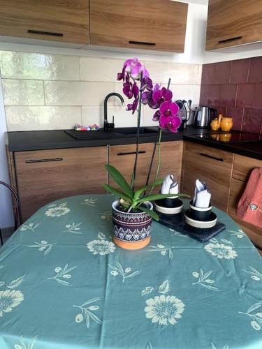 Maisonnette de Jardin photo 13
