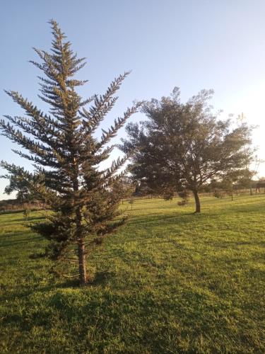 Φωτογραφία από το άλμπουμ του Bahía de cimarrones σε Dolores