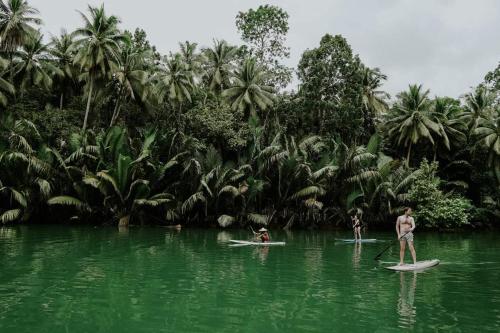a group of people on surfboards in the water at Loboc Nipa Huts Cottages Rental in Camisan