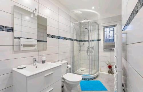 une salle de bain avec toilettes, douche et lavabo dans l'établissement Gite Mare e Montagne Drap 06, à Drap