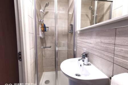 uma casa de banho com um lavatório e um chuveiro em Cosy 1bed apartment with nice patio and fast WIFI F1 em Dublin