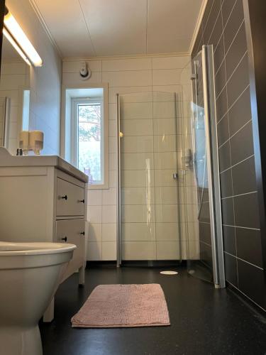 LavikにあるBosdalhusetのバスルーム(トイレ、シャワー、シンク付)