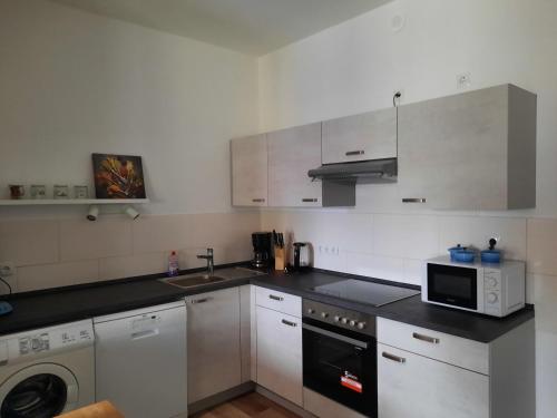 a kitchen with a microwave oven and a sink at Niedersburger Eck, wandern, radfahren, genießen, erholen in Boppard