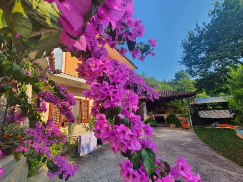 Taman di luar OLIVES HOUSE in Izola