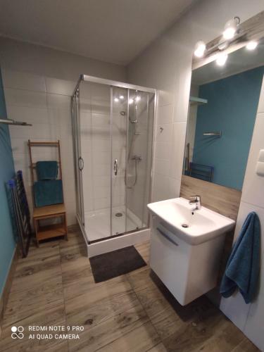 a bathroom with a shower and a sink at Apartament Przy Latarni in Krynica Morska