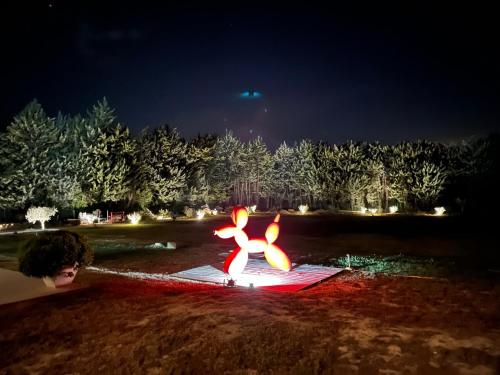 a lit up park at night with trees in the background at Domaine de La Franquette by Bridget & Pascal - Piscine Chauffée & SPA in Caderousse