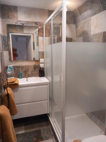 une salle de bain avec douche et lavabo dans l'établissement La P'tite Maison, à Jonquières-et-Saint-Vincent