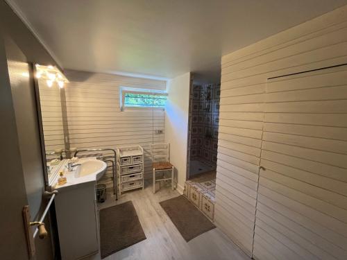 bagno con lavandino e doccia di Grand Studio Vue Mer et Jardin a Ver-sur-Mer