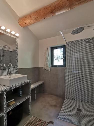 une salle de bain avec un lavabo et une douche dans l'établissement Luberon : maison près de Joucas et Gordes, à Joucas