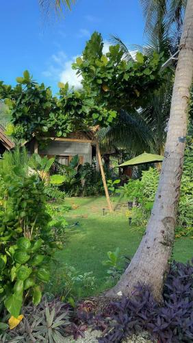 Zahrada ubytování Coleto Siargao