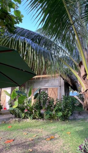 Zahrada ubytování Coleto Siargao