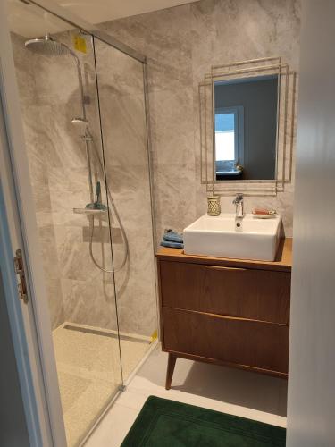 une salle de bain avec un lavabo et une douche dans l'établissement Charmante dépendance Arena La Défense, à Nanterre