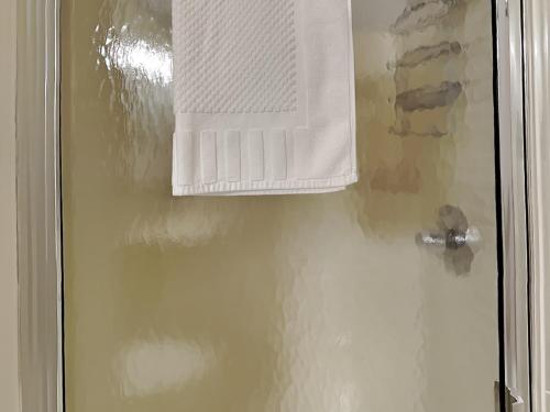 a towel is hanging on a shower door at Sunplace 02 in McHenry