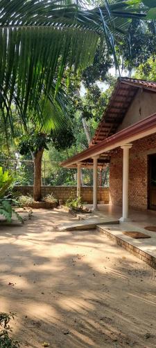 a building with a palm tree in front of it at Nature love Negombo in Kochchikade
