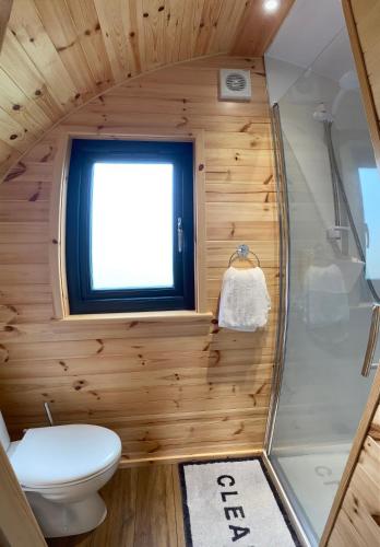 een kleine badkamer met een toilet en een raam bij The Sandy Pod in Stornoway