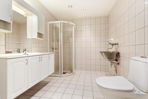 a bathroom with a shower and a toilet and a sink at Bjørn og Jasmins plass in Lærdalsøyri