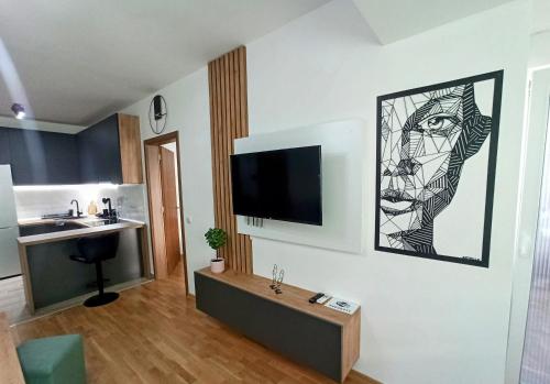 Kuchyň nebo kuchyňský kout v ubytování Mango Apartments