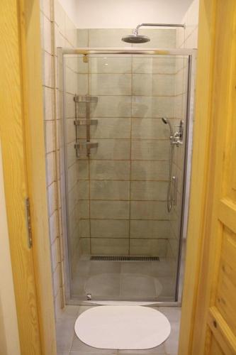 a shower with a glass door in a bathroom at Chalupa Zlíčko in Vysoká Srbská