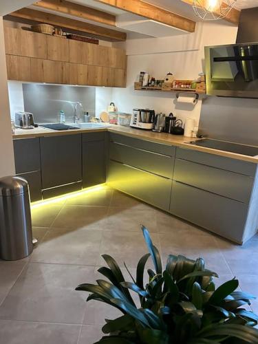 une cuisine avec une lumière au milieu dans l'établissement Maison calme proche Guebwiller, à Soultz-Haut-Rhin