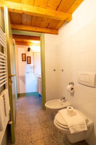 Ένα μπάνιο στο Agriturismo Il Monticello