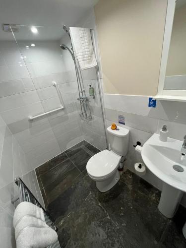 a bathroom with a toilet and a sink at Old Manor House in Axbridge