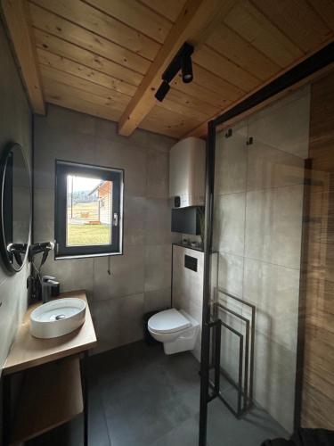 a bathroom with a toilet and a sink and a shower at Jaworowe Wzgórze in Wysowa-Zdrój