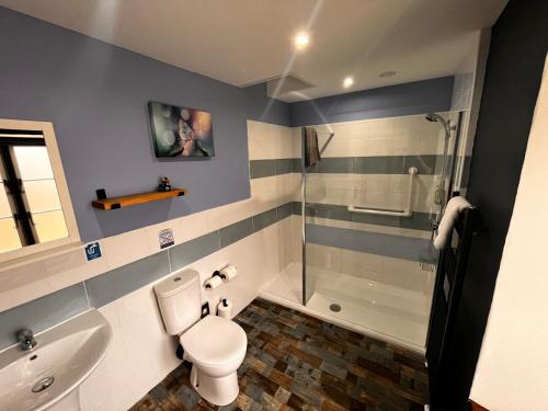 a bathroom with a toilet sink and a shower at Old Manor House in Axbridge