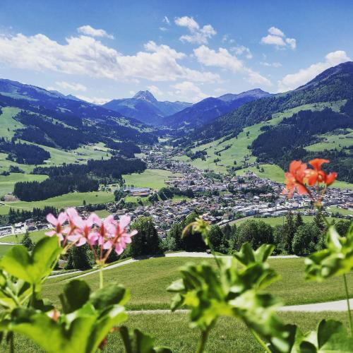 a view from the top of a mountain with flowers at Panorama Appartements Filzerhof in Kirchberg in Tirol