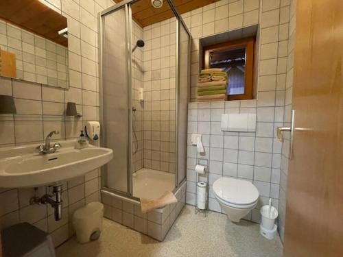 a bathroom with a sink and a toilet and a shower at Gasthof Thurnerhof in Feld am See