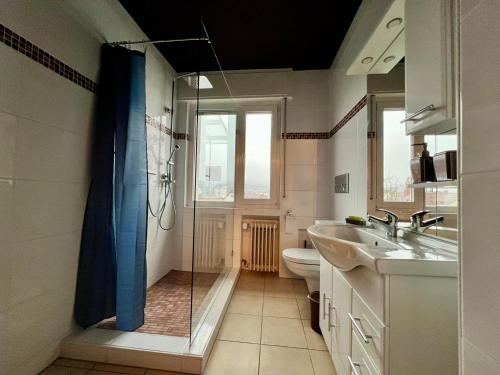 a bathroom with a shower and a sink and a toilet at Hessestub in Wächtersbach