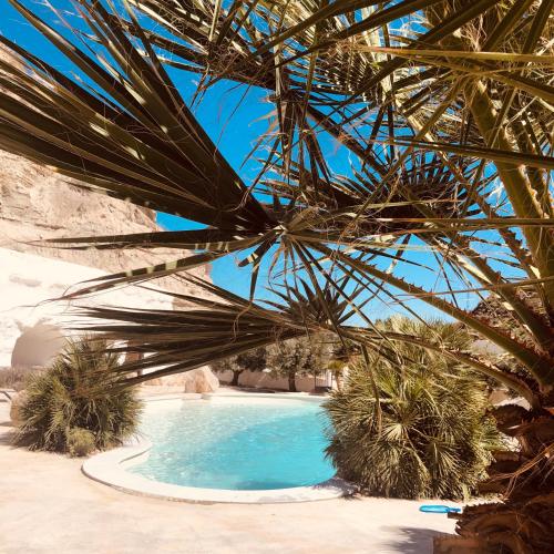 a swimming pool with a palm tree at Cueva Aventura in Benamaurel