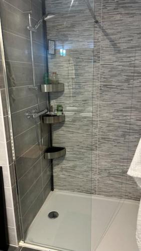 une salle de bain avec une douche avec une porte vitrée dans l'établissement bel appartement proche centre et lac, à Annecy