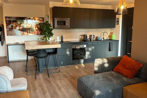 une cuisine et un salon avec un canapé et une table dans l'établissement bel appartement proche centre et lac, à Annecy