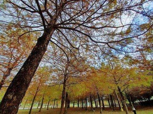 Φυσικό τοπίο κοντά σε αυτή η βίλα