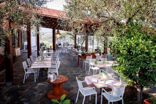 Εστιατόριο ή άλλο μέρος για φαγητό στο AGRI SUITE View - La Bilaia