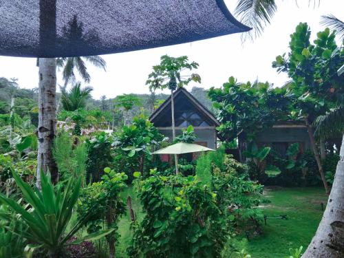 Zahrada ubytování Coleto Siargao
