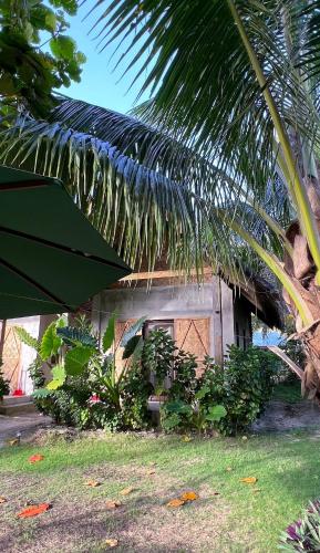 Zahrada ubytování Coleto Siargao